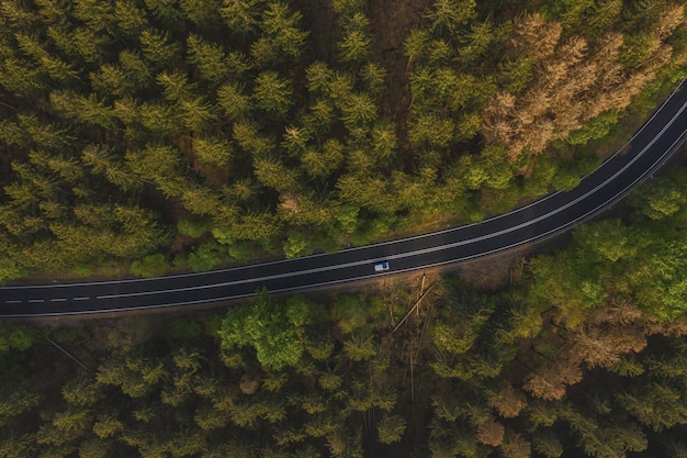 Vue aérienne de la voiture roulant à travers la forêt sur une route de campagne.