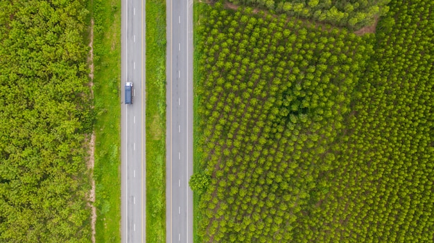 Vue aérienne de voitures et de camions sur la route goudronnée traverse la forêt verte