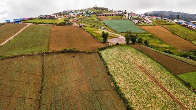 Une vue aérienne de la zone agricole