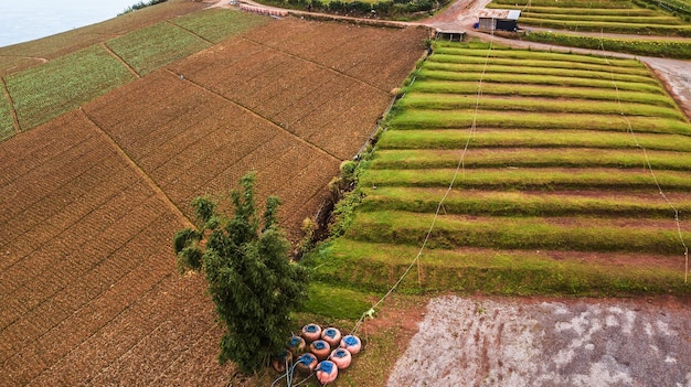 Une vue aérienne de la zone agricole