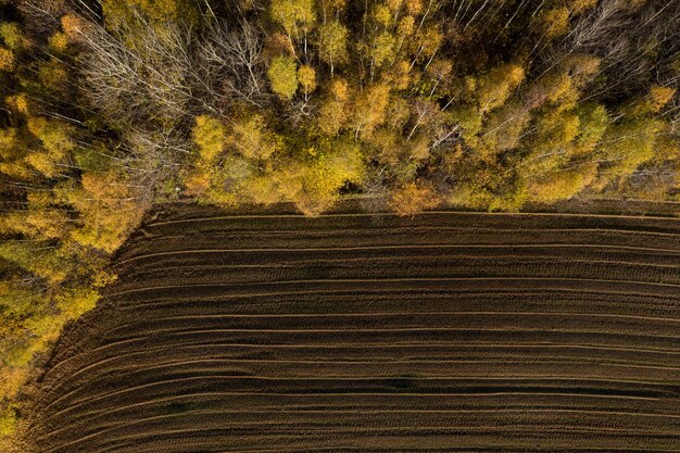 Photo vue aérienne de la zone de déforestation pour les terres agricoles