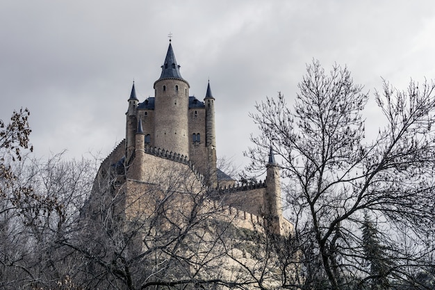 Vue sur l'Alcazar entre les arbres