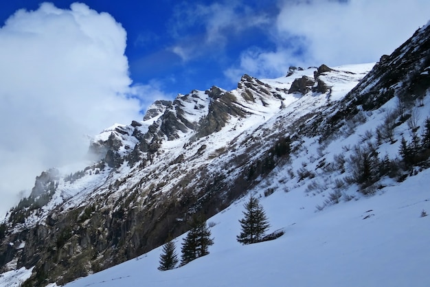 Vue des Alpes suisses sur le célèbre train touristique Glacier Express, Jungfrau, Suisse.