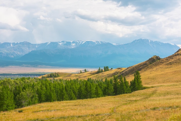 Vue alpine spectaculaire des collines forestières à la haute chaîne de montagnes enneigées au soleil pendant la pluie par temps changeant Forêt verte et steppe ensoleillée contre de grandes montagnes enneigées sous un ciel nuageux sous la pluie