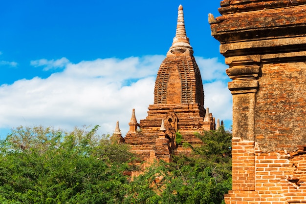 Vue des anciennes pagodes à Bagan