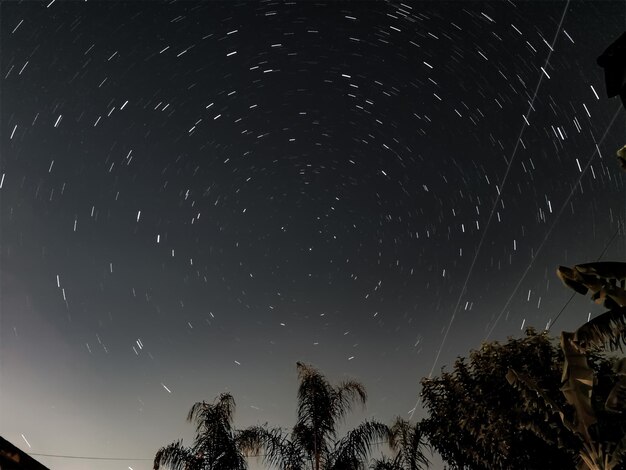 Photo vue d'angle bas des arbres contre le champ d'étoiles la nuit