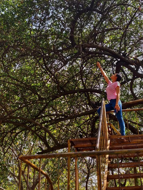 Photo vue à angle bas d'une femme debout sur des marches contre un arbre