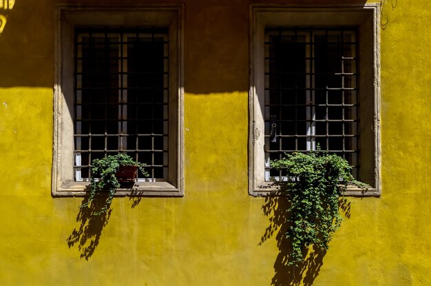 Vue d'angle bas d'un oiseau perché sur une fenêtre jaune