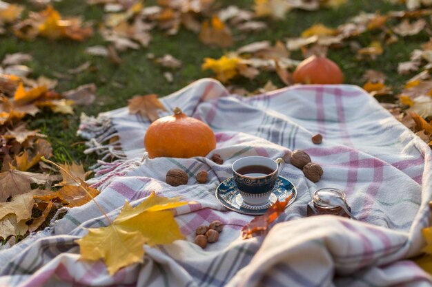 Vue d'angle élevé des aliments et des boissons sur le textile