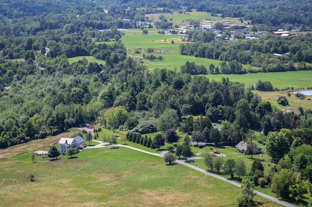 Vue d'angle élevé des arbres sur le champ