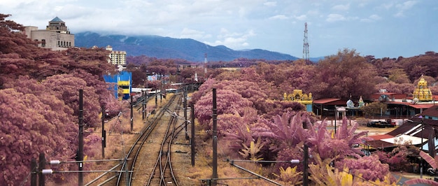 Vue d'angle élevé des arbres et des montagnes contre le ciel