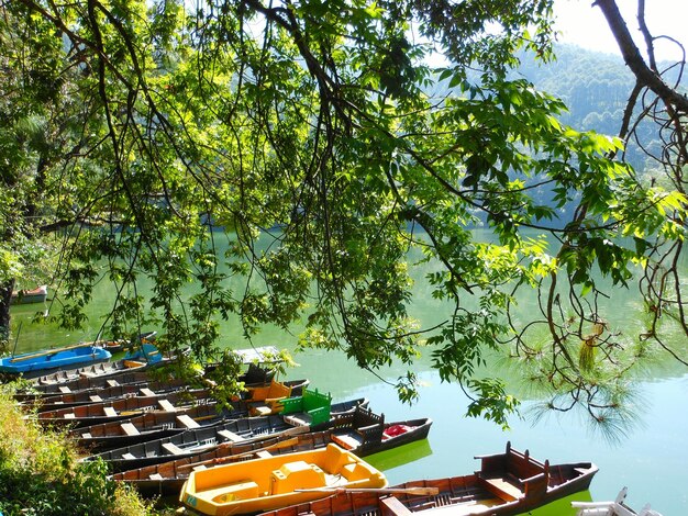 Photo vue d'angle élevé des bateaux amarrés dans le lac