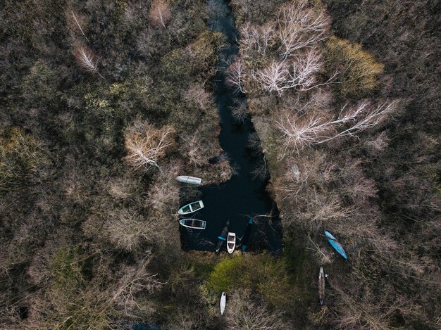 Photo vue d'angle élevé des bateaux à rames au milieu des arbres dans la forêt