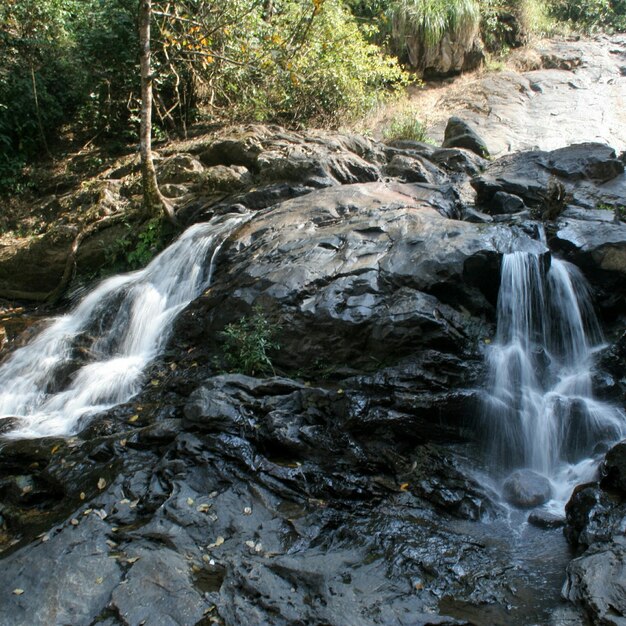 Vue d'angle élevé des chutes d'eau des montagnes rocheuses