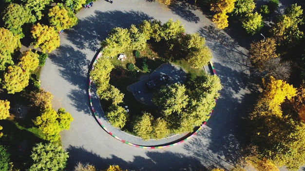 Photo vue d'angle élevé de la couche d'arbre