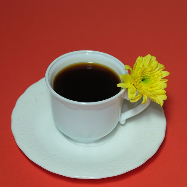 Vue d'angle élevé du café sur la rose rouge