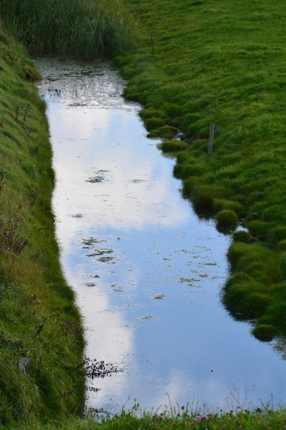 Photo vue d'angle élevé du canal sur un champ herbeux