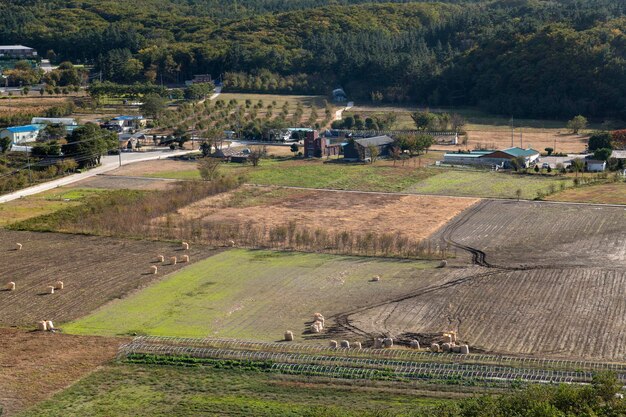 Photo vue d'angle élevé du champ agricole