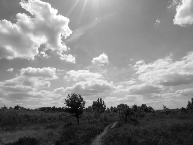 Photo vue à angle élevé du champ contre le ciel