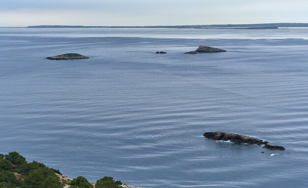 Photo vue d'angle élevé du crabe en mer