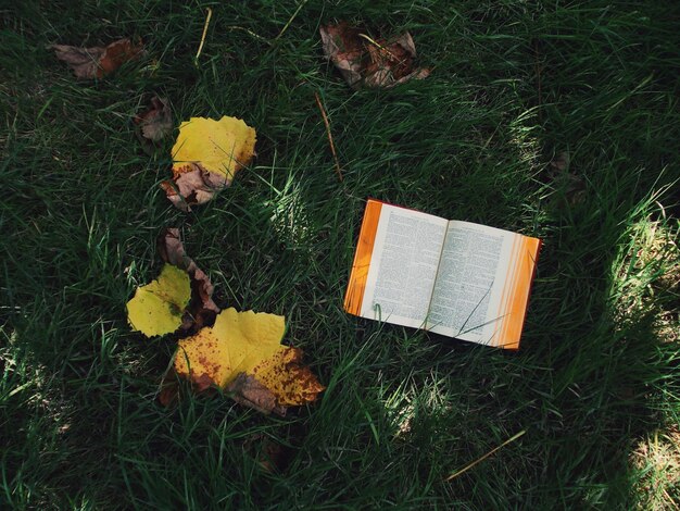 Photo vue d'angle élevé du livre sur l'herbe