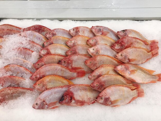 Vue d'angle élevé du poisson à vendre sur le marché