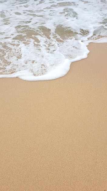 Vue d'angle élevé du surf sur la plage