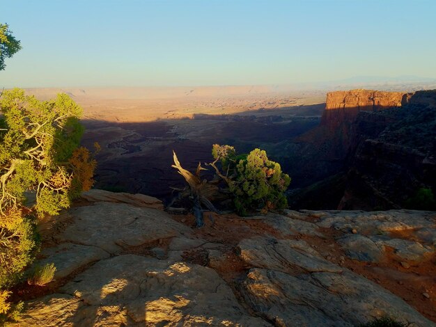 Photo vue d'angle élevé du tronc d'arbre effondré sur un paysage aride