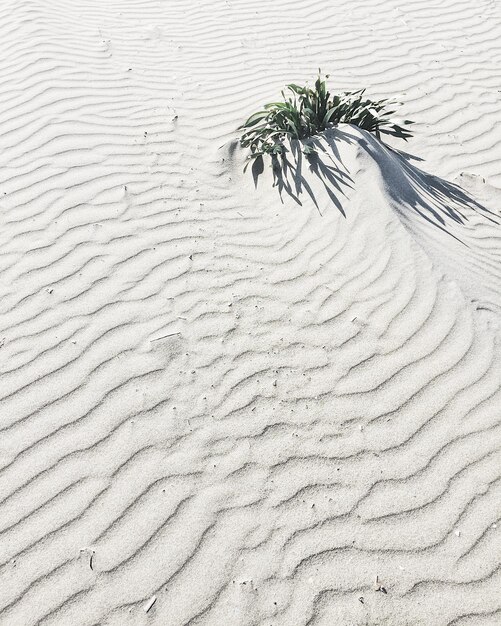 Photo vue d'angle élevé des dunes de sable sur la plage