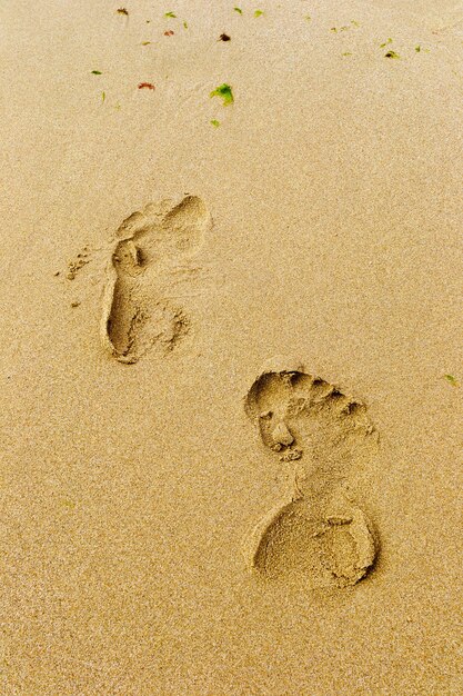 Vue d'angle élevé des empreintes de pas sur le sable de la plage
