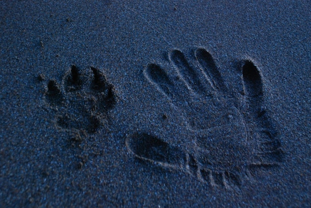 Vue d'angle élevé des empreintes de pas sur le sable de la plage