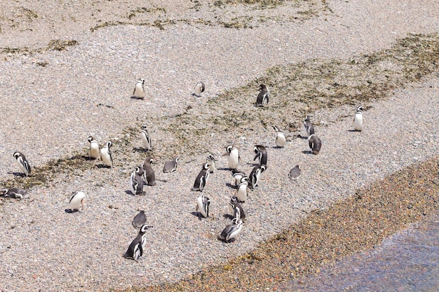 Vue d'angle élevé des empreintes de pas sur le sable de la plage