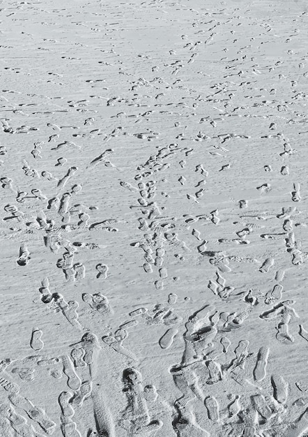 Photo vue d'angle élevé des empreintes sur le sable mouillé