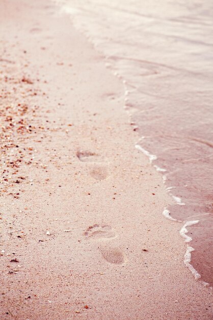 Vue d'angle élevé des empreintes sur le sable