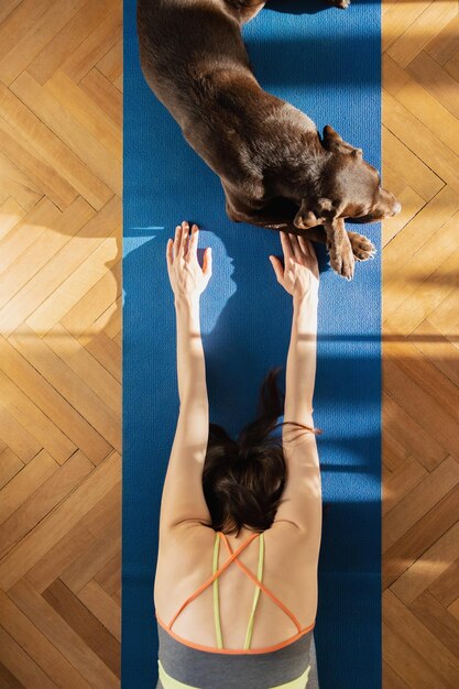 Vue d'angle élevé d'une femme avec un chat sur le sol