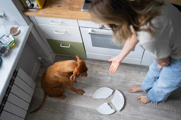 Photo vue d'angle élevé d'une femme avec un chien par une plaque cassée à la maison