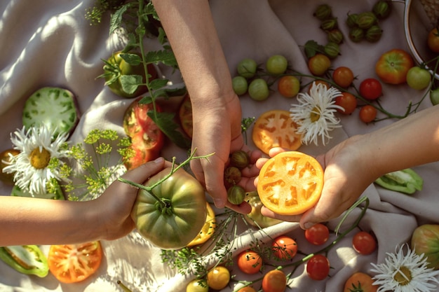 Photo vue d'angle élevé d'une femme tenant des fruits