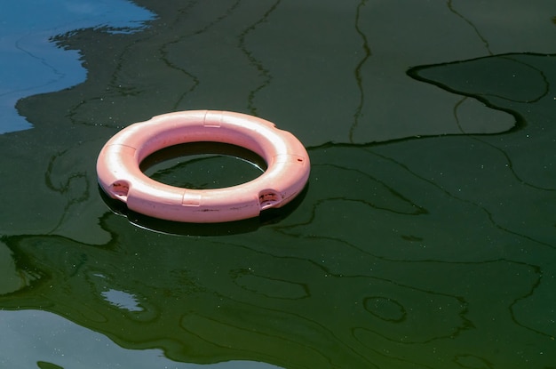 Vue d'angle élevé d'une feuille flottant sur l'eau