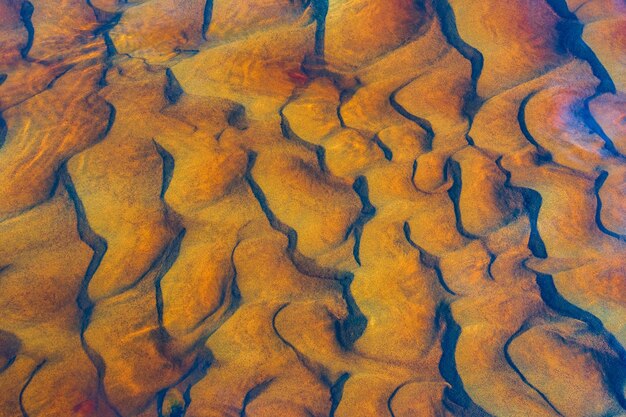 Vue d'angle élevé d'une feuille sèche sur le sol