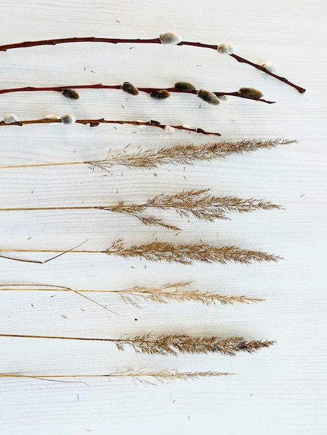 Vue d'angle élevé de la feuille sèche sur la table