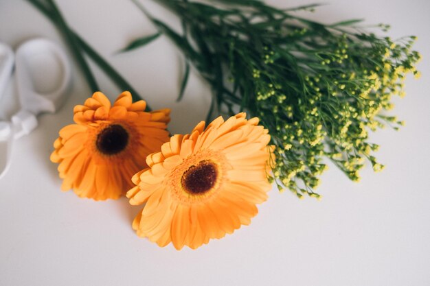 Vue d'angle élevé de la fleur d'orange