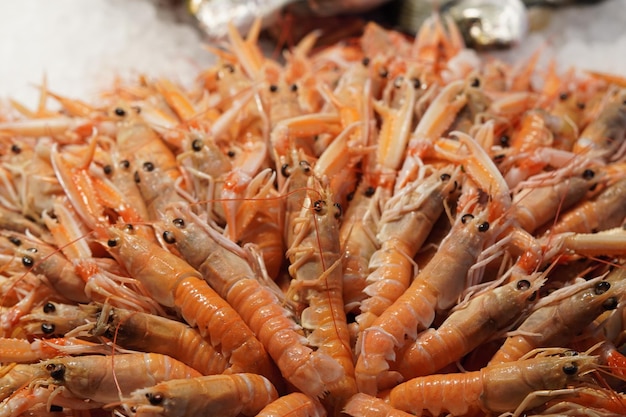 Vue d'angle élevé des fruits de mer à vendre sur le marché