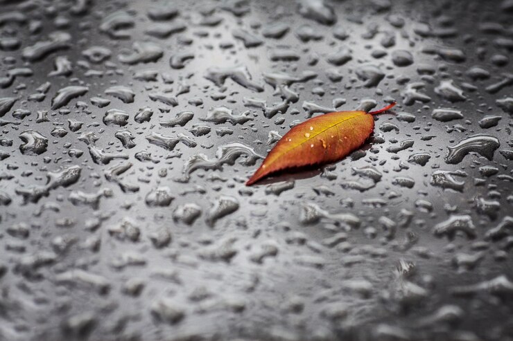 Photo vue d'angle élevé des gouttes de pluie sur la feuille