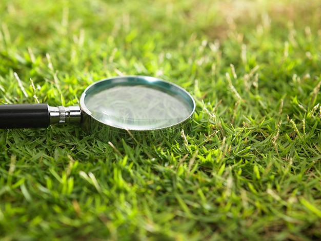 Vue d'angle élevé des lunettes sur le terrain