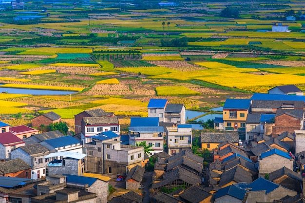 Vue d'angle élevé des maisons contre le champ agricole