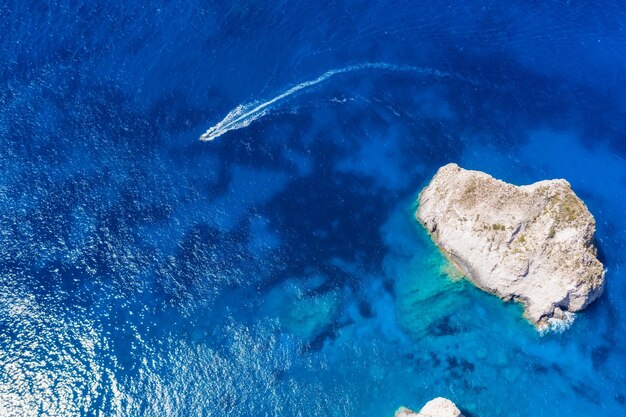 Photo vue d'angle élevé de méduses nageant en mer