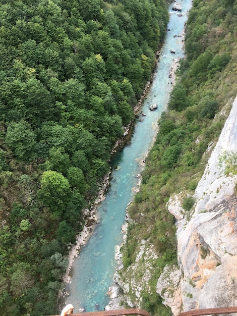 Photo vue d'angle élevé de la mer et des arbres