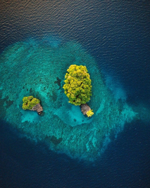 Vue d'angle élevé de la mer bleue et des rochers