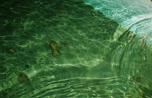 Photo vue d'angle élevé de la natation dans la piscine