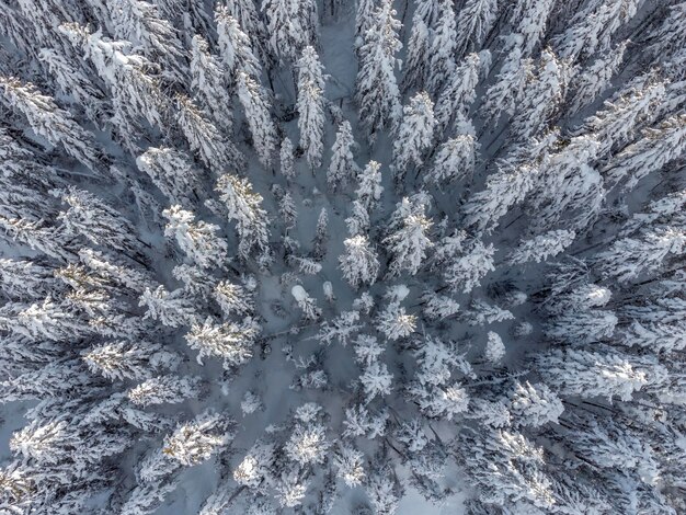 Vue d'angle élevé de la neige sur l'usine